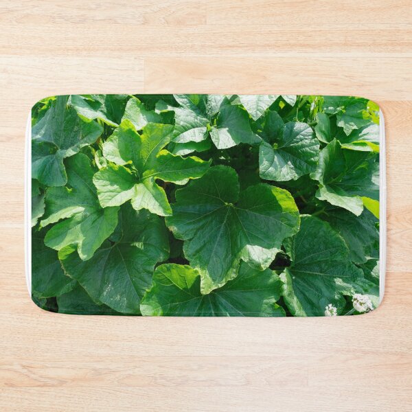 Item preview, Summer sun on pumpkin leaves: An ode to the lush green splendor designed and sold by Patricia Piotrak.