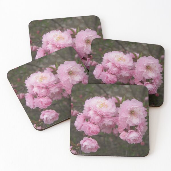 Item preview, Little Pink Flowers Photograph designed and sold by Heatherian.