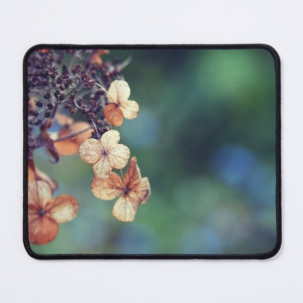 Item preview, Autumn Hydrangea designed and sold by Cloudlingpics.
