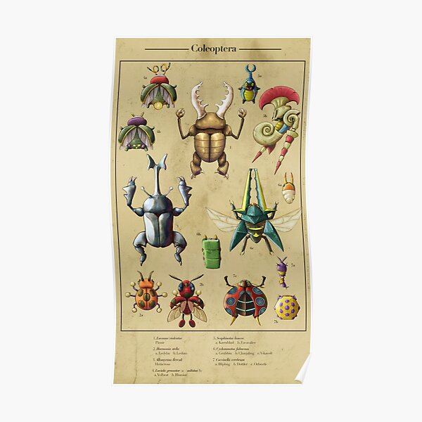 Pocket Coleoptera Poster