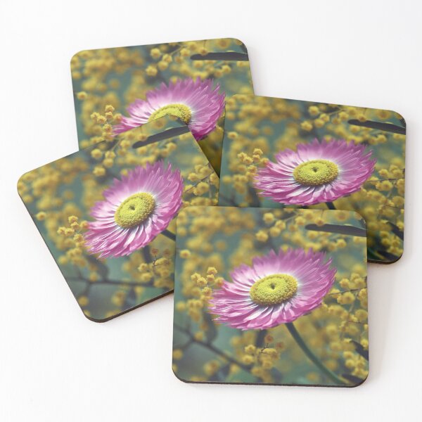 Item preview, Rosy Everlasting among Wattle #2 designed and sold by Cloudlingpics.