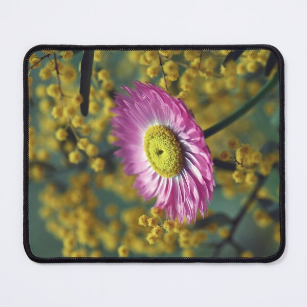 Item preview, Rosy Everlasting among Wattle #2 designed and sold by Cloudlingpics.