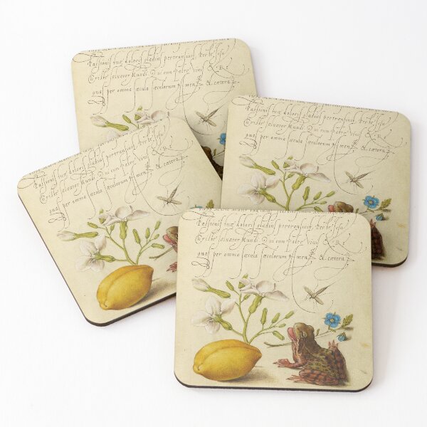 Item preview, Naturalist Manuscript: Flowers, Animal, and Calligraphy Illumination by Joris Hoefnagel designed and sold by Naturalist Prints.