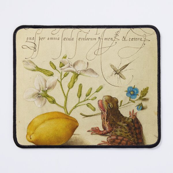 Item preview, Naturalist Manuscript: Flowers, Animal, and Calligraphy Illumination by Joris Hoefnagel designed and sold by Naturalist Prints.