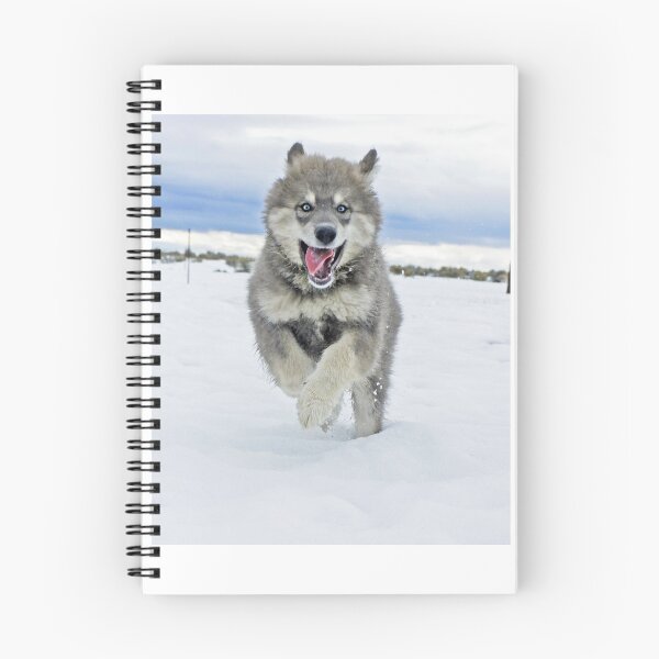 Item preview, It's a Dog's Life and I Love it designed and sold by mwroach.