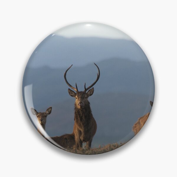 Item preview, Red Deer designed and sold by Macrae images.