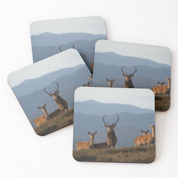 Item preview, Red Deer designed and sold by Macrae images.