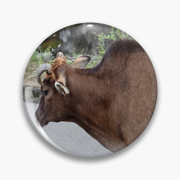 Item preview, Free Cattle designed and sold by NesgwenSing.