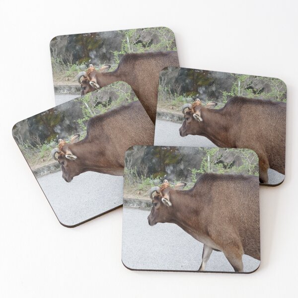 Item preview, Free Cattle designed and sold by NesgwenSing.