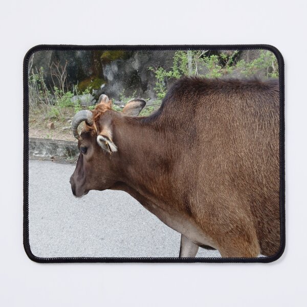 Item preview, Free Cattle designed and sold by NesgwenSing.