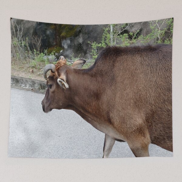 Item preview, Free Cattle designed and sold by NesgwenSing.