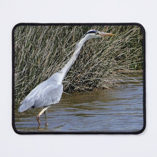 Item preview, r2430/ ornithologique-du-teich  héron cendré   2018 par Okaio Créations - Olavia-Olao     designed and sold by o.okaïo.
