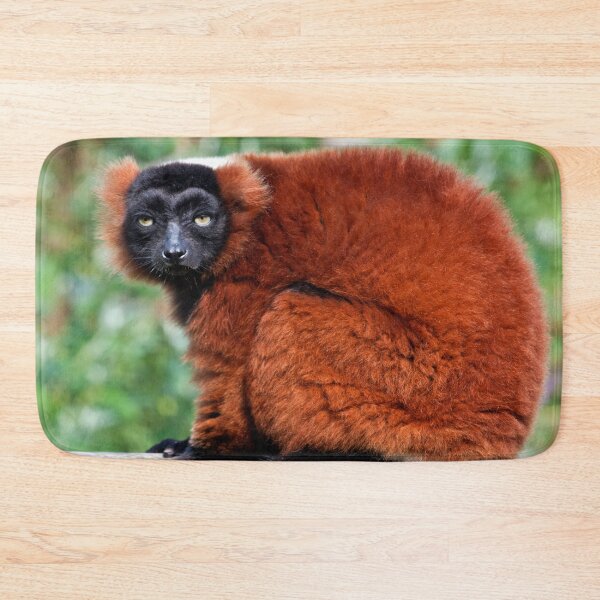Item preview, Red Ruffed Lemur Varecia Rubra designed and sold by Terri Waters Photography & Design.