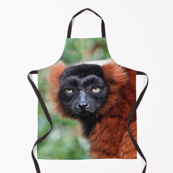 Item preview, Red Ruffed Lemur Varecia Rubra designed and sold by Terri Waters Photography & Design.