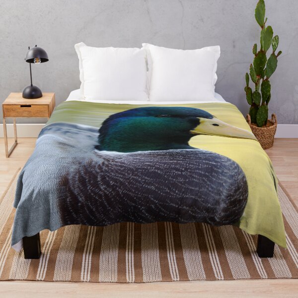 Item preview, Mallard duck swimming in a lake - Anas platyrhynchos designed and sold by Michaelerch.
