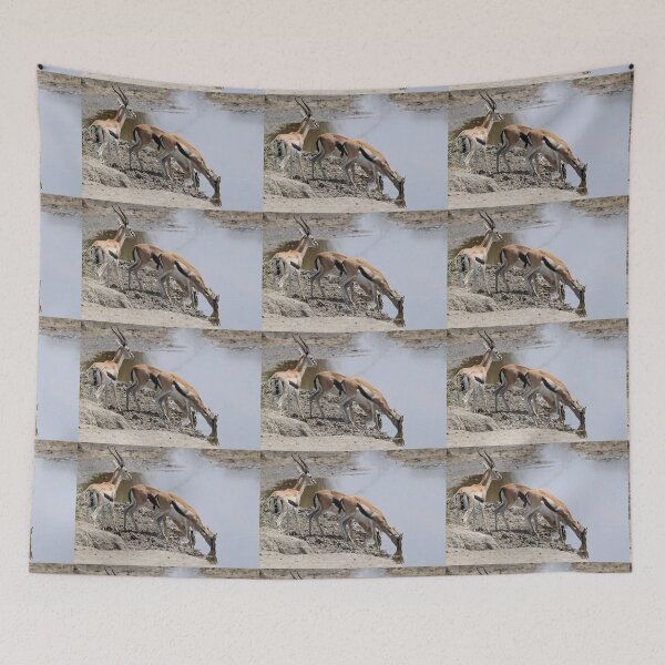Item preview, Thomson's Gazelles at the Moru River, Serengeti, Tanzania designed and sold by Carole-Anne.