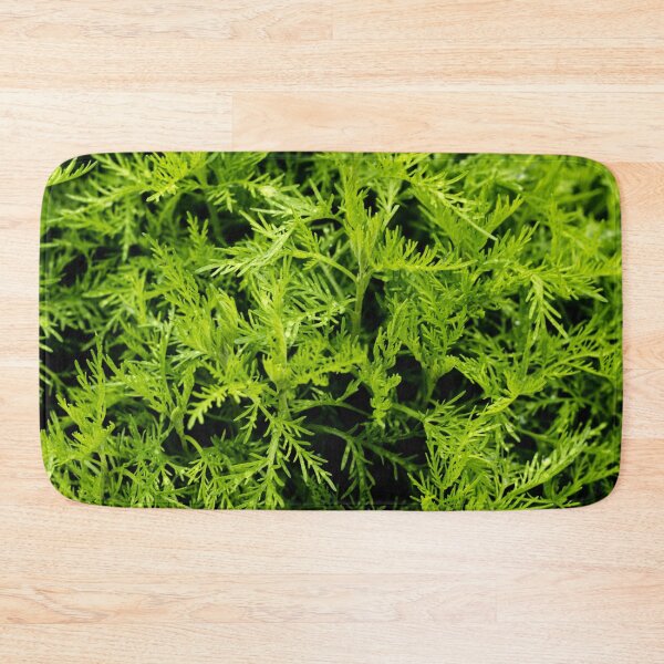 Item preview, Green Artemisia Abrotanum herb - Southernwood designed and sold by Michaelerch.