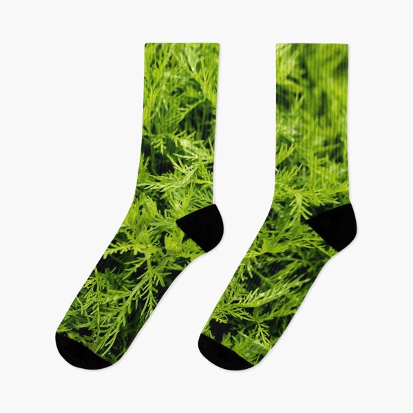 Item preview, Green Artemisia Abrotanum herb - Southernwood designed and sold by Michaelerch.