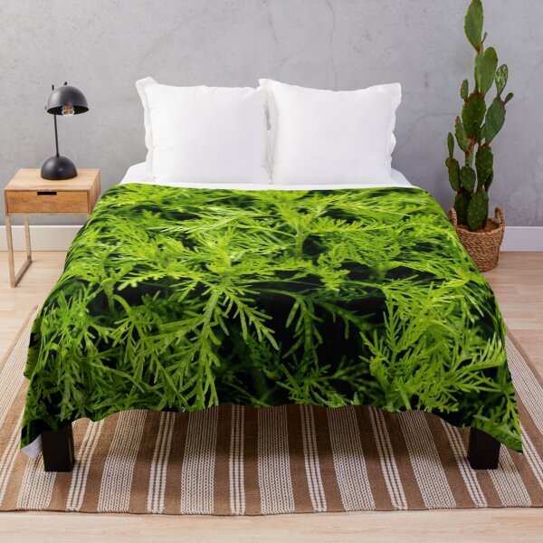 Item preview, Green Artemisia Abrotanum herb - Southernwood designed and sold by Michaelerch.