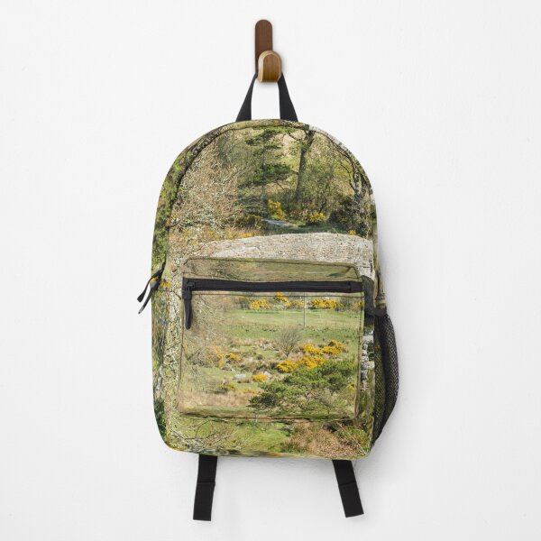 Item preview, Postbridge on Dartmoor with the two well known bridges designed and sold by Cameranick.