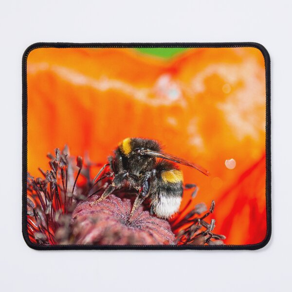 Item preview, Bumblebee on poppy flower designed and sold by Ingo Gerlach.