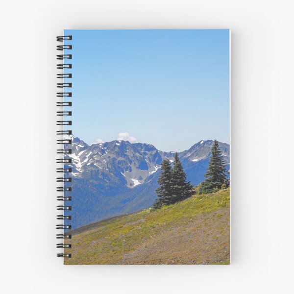 Item preview, USA. Olympic National Park. Visitor's Center.  designed and sold by vadim19.