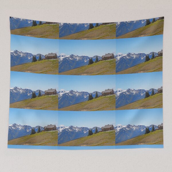 Item preview, USA. Olympic National Park. Visitor's Center.  designed and sold by vadim19.