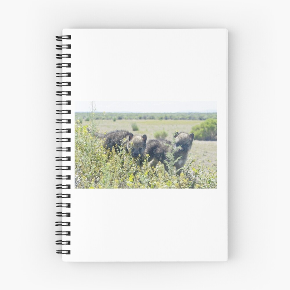Item preview, Spiral Notebook designed and sold by mwroach.