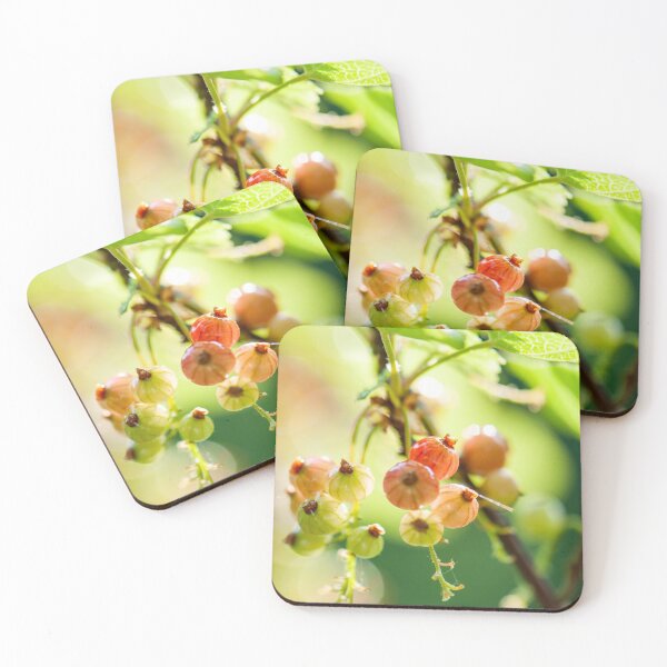Item preview, unripe currants designed and sold by Ingo Gerlach.
