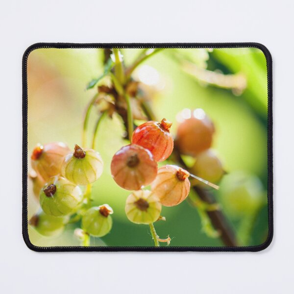 Item preview, unripe currants designed and sold by Ingo Gerlach.