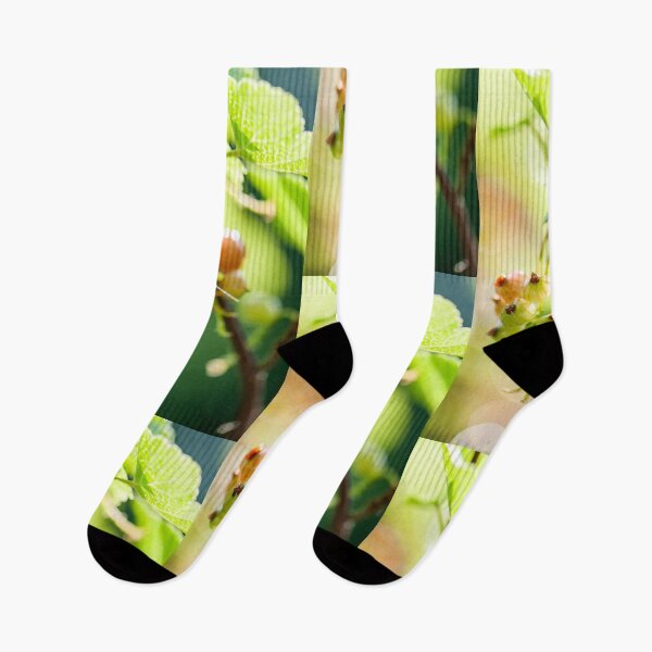 Item preview, unripe currants designed and sold by Ingo Gerlach.