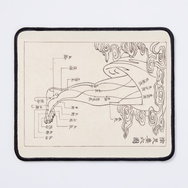 Item preview, Acupuncture points and meridians-The Foot designed and sold by citimonster.