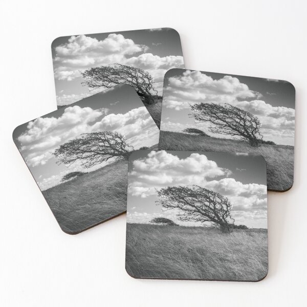 Item preview, Windswept Tree designed and sold by AdamT1991.