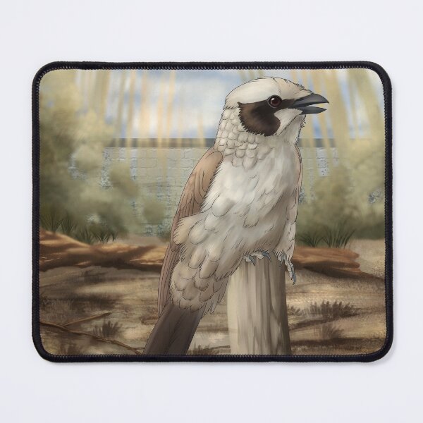 Item preview, White crowned shrike designed and sold by DragonArtist15.
