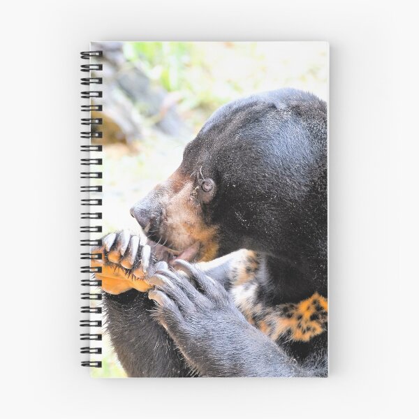 Item preview, Sun Bear designed and sold by cs-cookie.