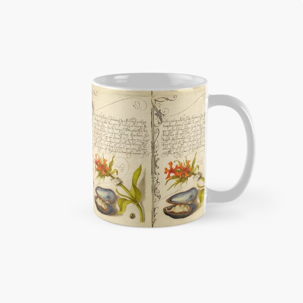 Item preview, Naturalist Manuscript: Insect, Flowers and Calligraphy Illumination by Joris Hoefnagel designed and sold by Naturalist Prints.