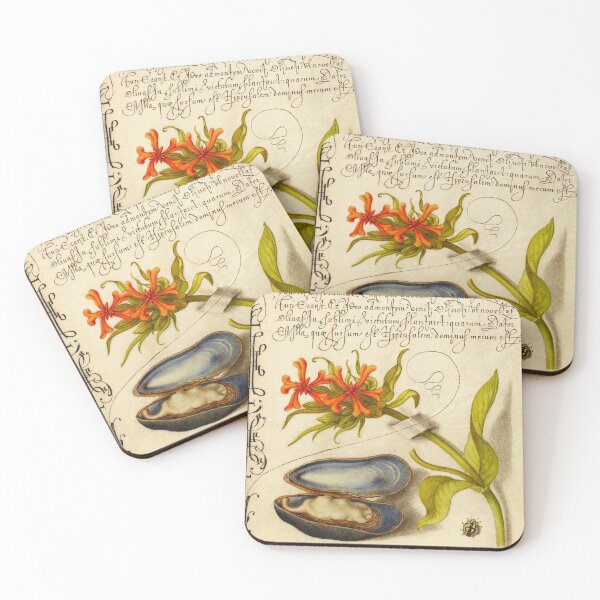 Item preview, Naturalist Manuscript: Insect, Flowers and Calligraphy Illumination by Joris Hoefnagel designed and sold by Naturalist Prints.