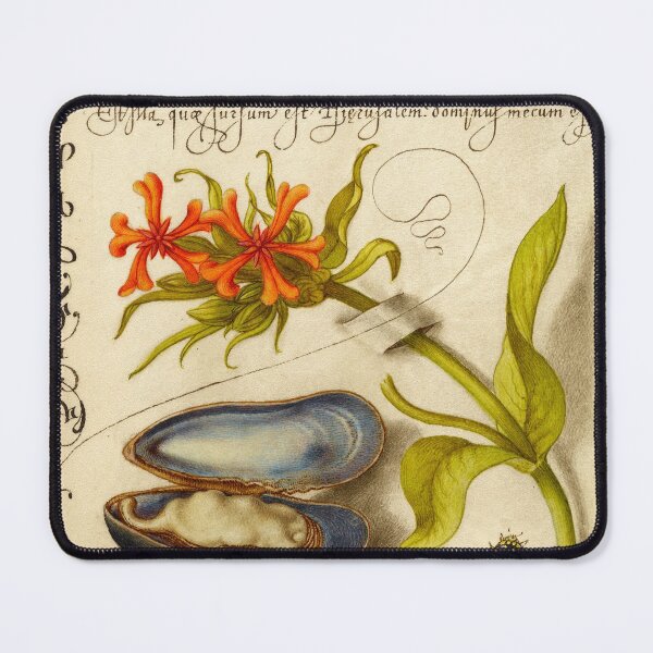 Item preview, Naturalist Manuscript: Insect, Flowers and Calligraphy Illumination by Joris Hoefnagel designed and sold by Naturalist Prints.