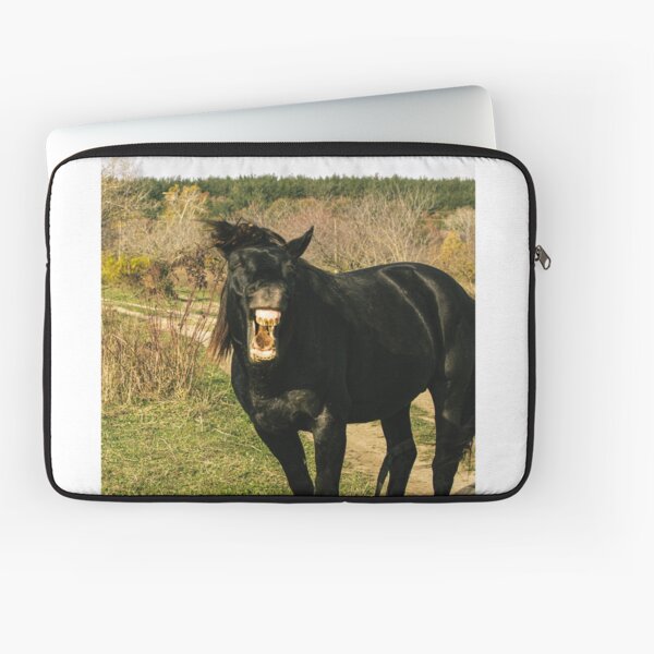 Aperçu de l'œuvre Cheval fou hennissant créée et vendue par ElanUlv.
