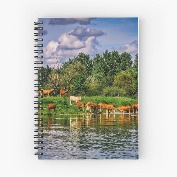 Item preview, A Herd of French Cows by the Canal designed and sold by Ann Biddlecombe.