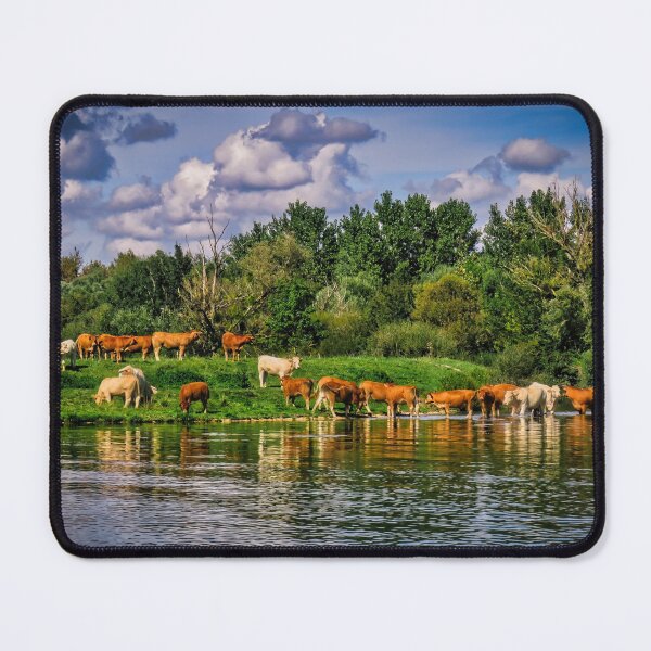Item preview, A Herd of French Cows by the Canal designed and sold by Ann Biddlecombe.