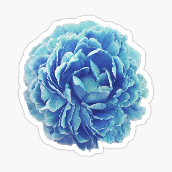 Cinderella Blue Flower Sticker