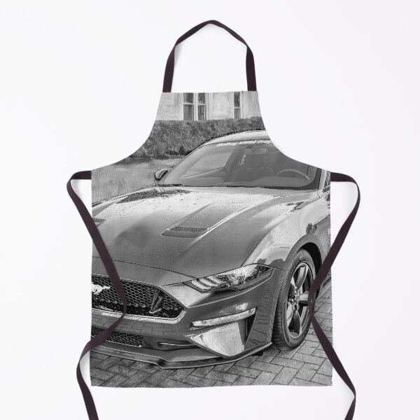 Item preview, 2018 Blue Ford Mustang GT 5 designed and sold by RichFrancoCars.