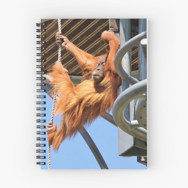 Item preview, Sumatran Orangutan   designed and sold by cs-cookie.