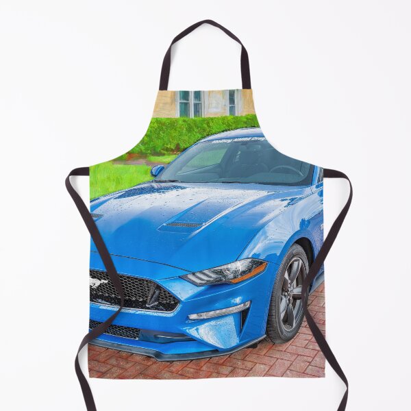 Item preview, 2018 Blue Ford Mustang GT 5 designed and sold by RichFrancoCars.