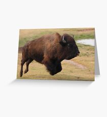 Buffalo Jump Greeting Card