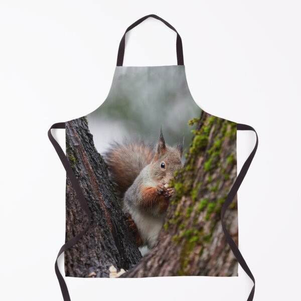 Item preview, Feeling a bit shy. Eurasian red squirrel designed and sold by Jouko Lehto Photography.