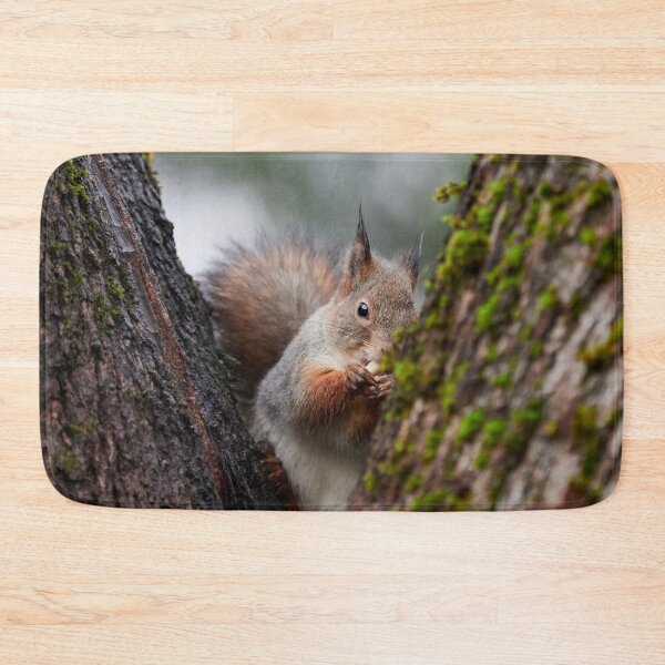 Item preview, Feeling a bit shy. Eurasian red squirrel designed and sold by Jouko Lehto Photography.