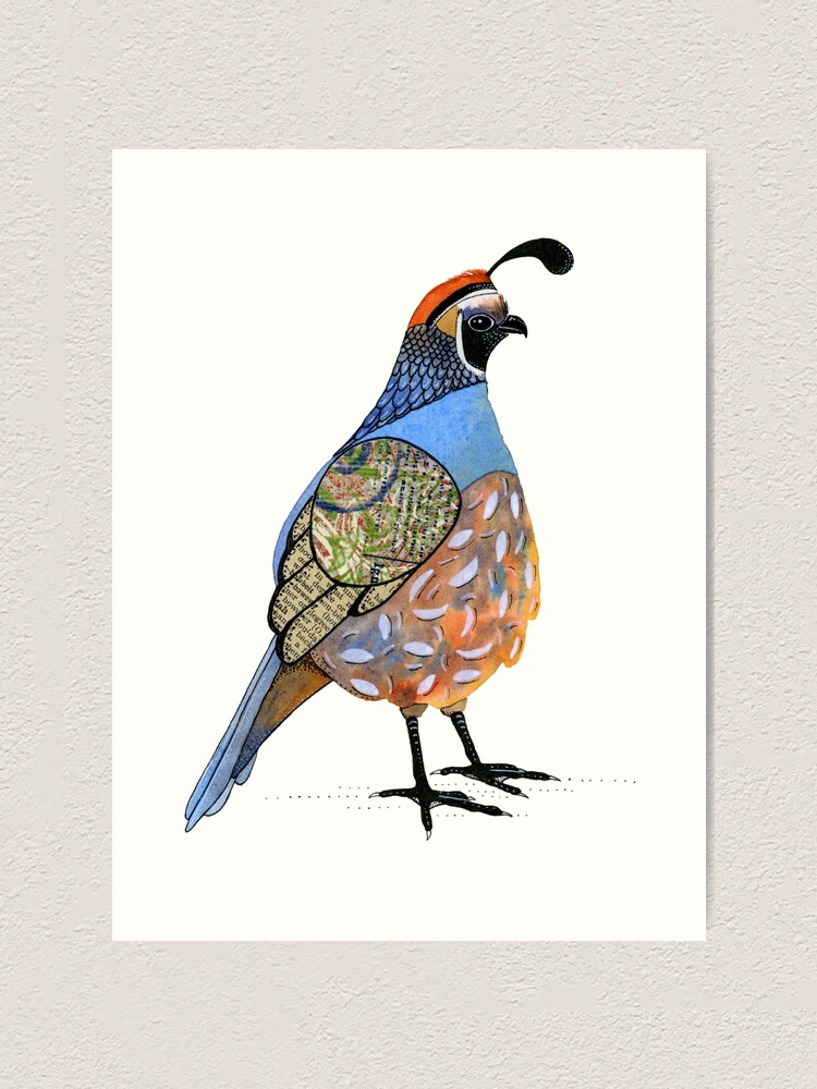 quail art print