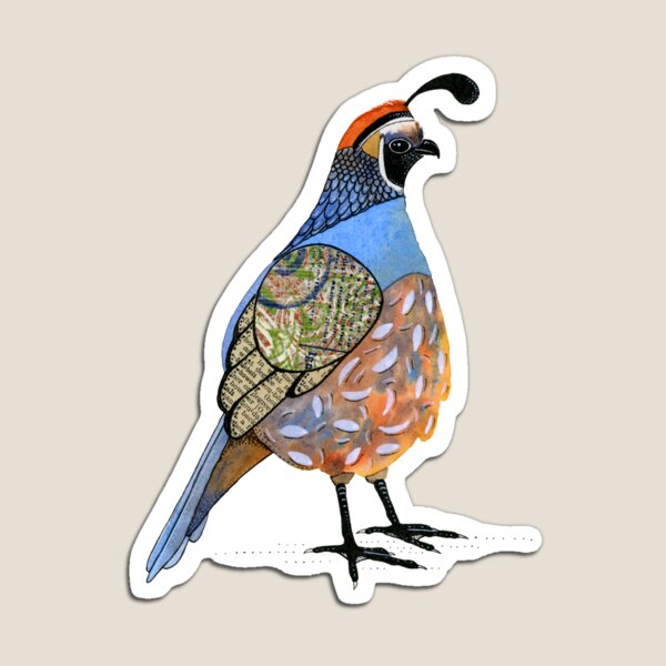 California Quail Magnet